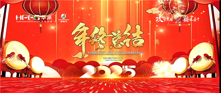 攻坚克难&middot;豁出去干：：：华派集团&middot;必发888药业召开2024年度年终总结会