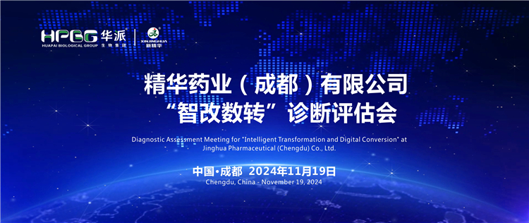智能制造｜专家组莅临华派集团&middot;必发888药业开展&ldquo;智改数转&rdquo;评估诊断