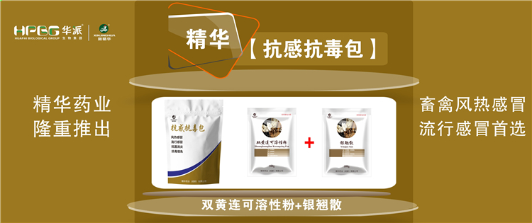 科普：：几种常见畜禽伤风与盛行性伤风的防控 |【抗感抗毒包】抗菌消炎、、解热排毒、、抗毒增免，，，畜禽风热伤风、、盛行伤风首选!