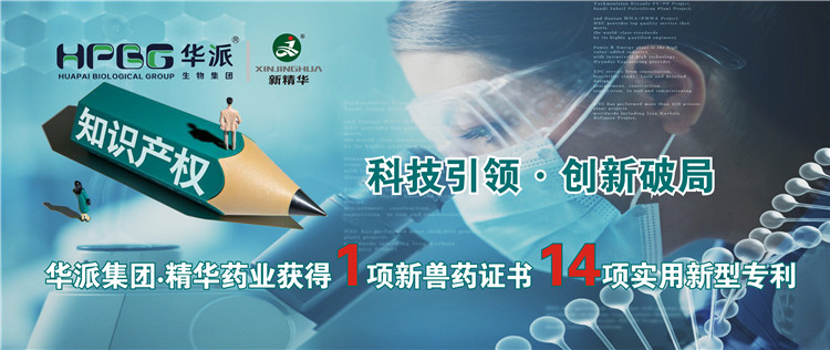 科技引领&bull;立异破局 | 华派集团&bull;必发888药业获得1项新兽药证书 14项适用新型专利