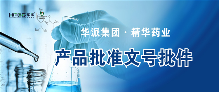 产品资质 | 华派集团&middot;必发888药业产品批准文号批件