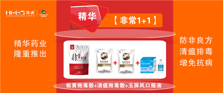 科普：：非洲猪瘟防控步伐 |【很是1+1】防非良方, 清瘟排毒、、增免抗病，，，加速猪瘟抗体爆发!