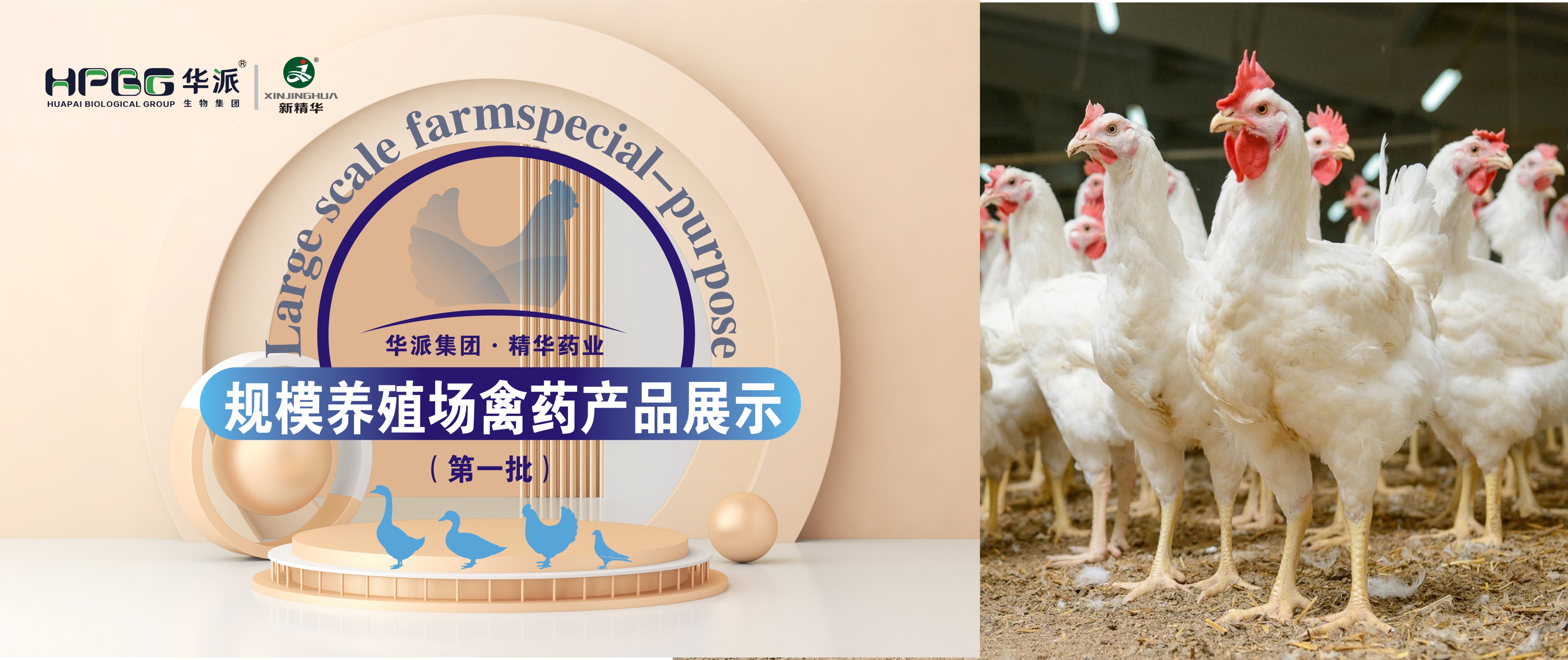 规；；；吵∽ㄓ | 华派集团&middot;必发888药业规；；；吵∏菀┎氛故荆ǖ谝慌